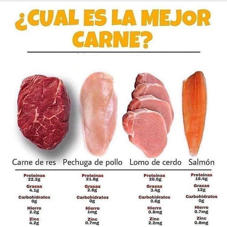 ¿Cuál es la carne con más proteínas? - Gastropatios