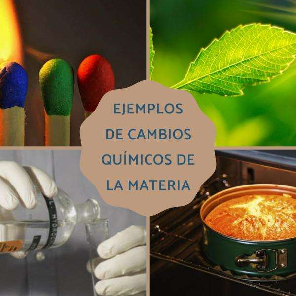 Cuatro propiedades de los alimentos que cambian en la cocción ...